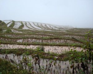 糯角山村