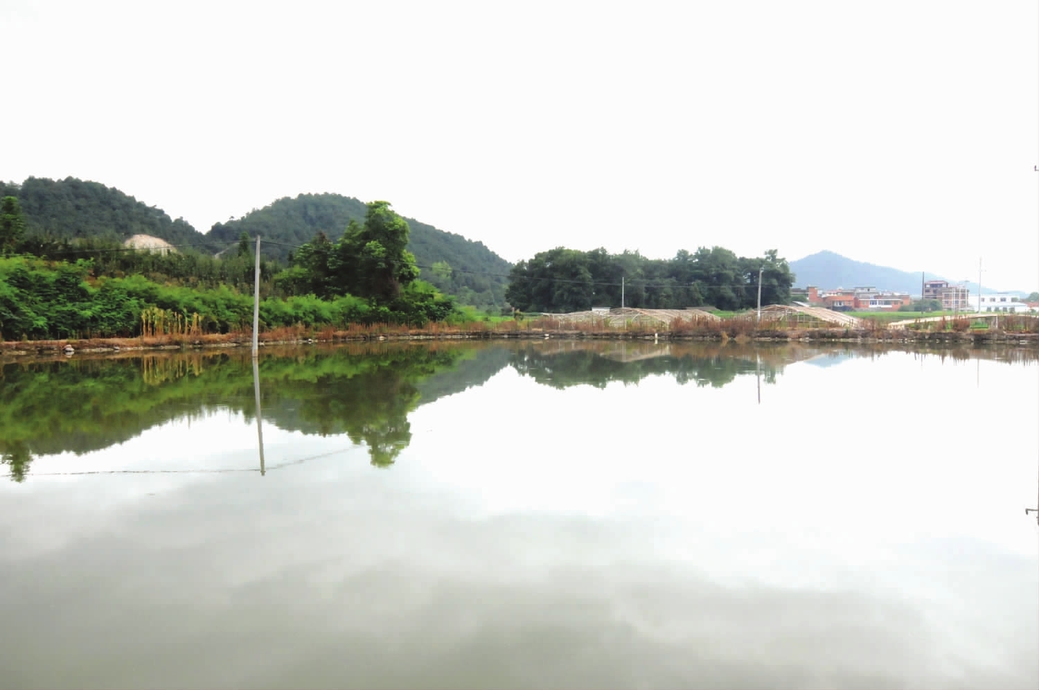 馬湖村(浙江省杭州市濱江區西興街道馬湖村)