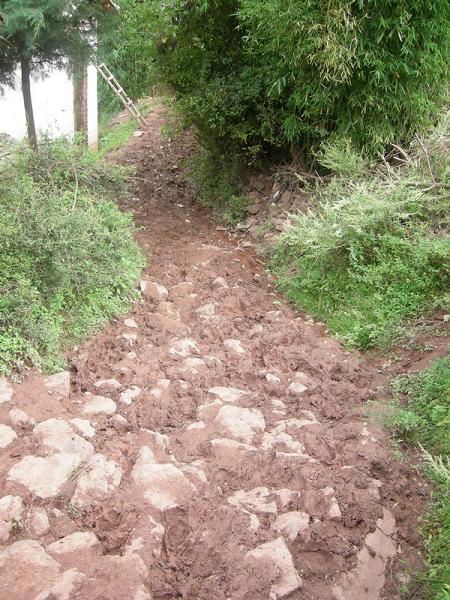 下坪村(雲南省大理市雲龍縣長新鄉下轄村)