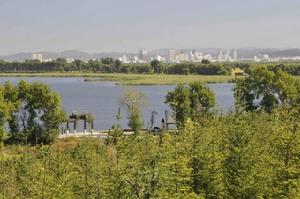 蓮花湖國家濕地公園