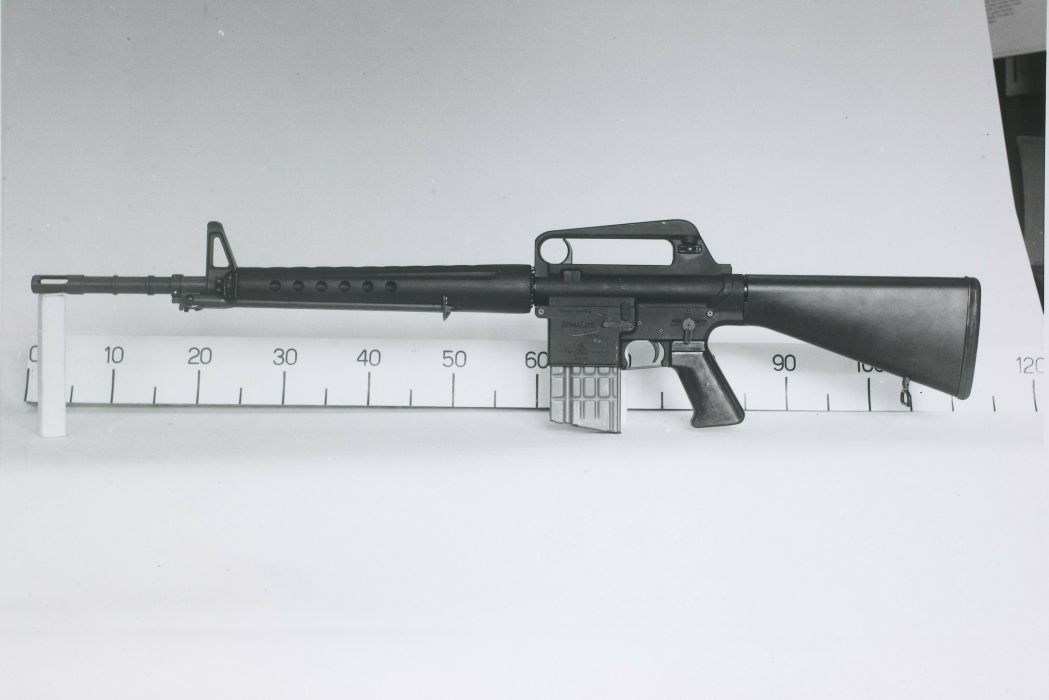 AR-10自動步槍