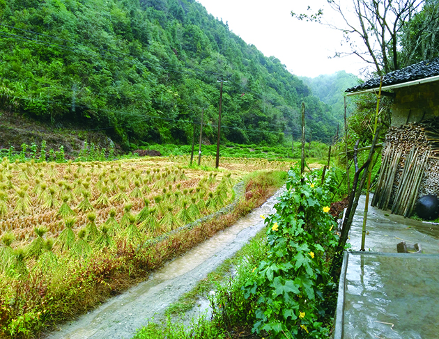 楊坑村(安徽省黃山市休寧縣渭橋鄉)