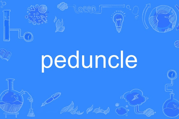 peduncle