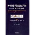 神經外科實踐手冊(2013年雲南科學技術出版社出版的圖書)