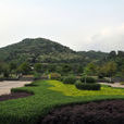 龍頭山森林公園