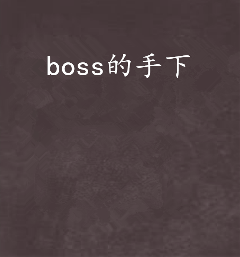 boss的手下