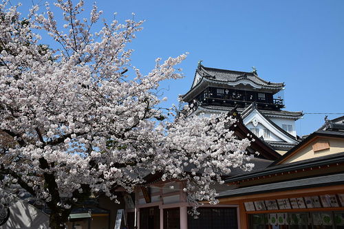 岡崎城天守閣