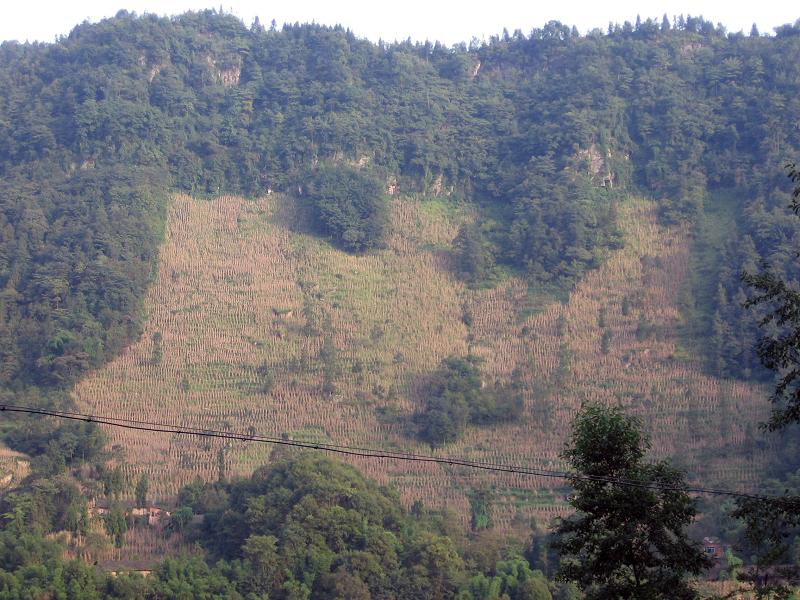 龍台村(雲南鹽津縣普洱鎮下轄村)