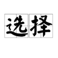 選擇(詞語)