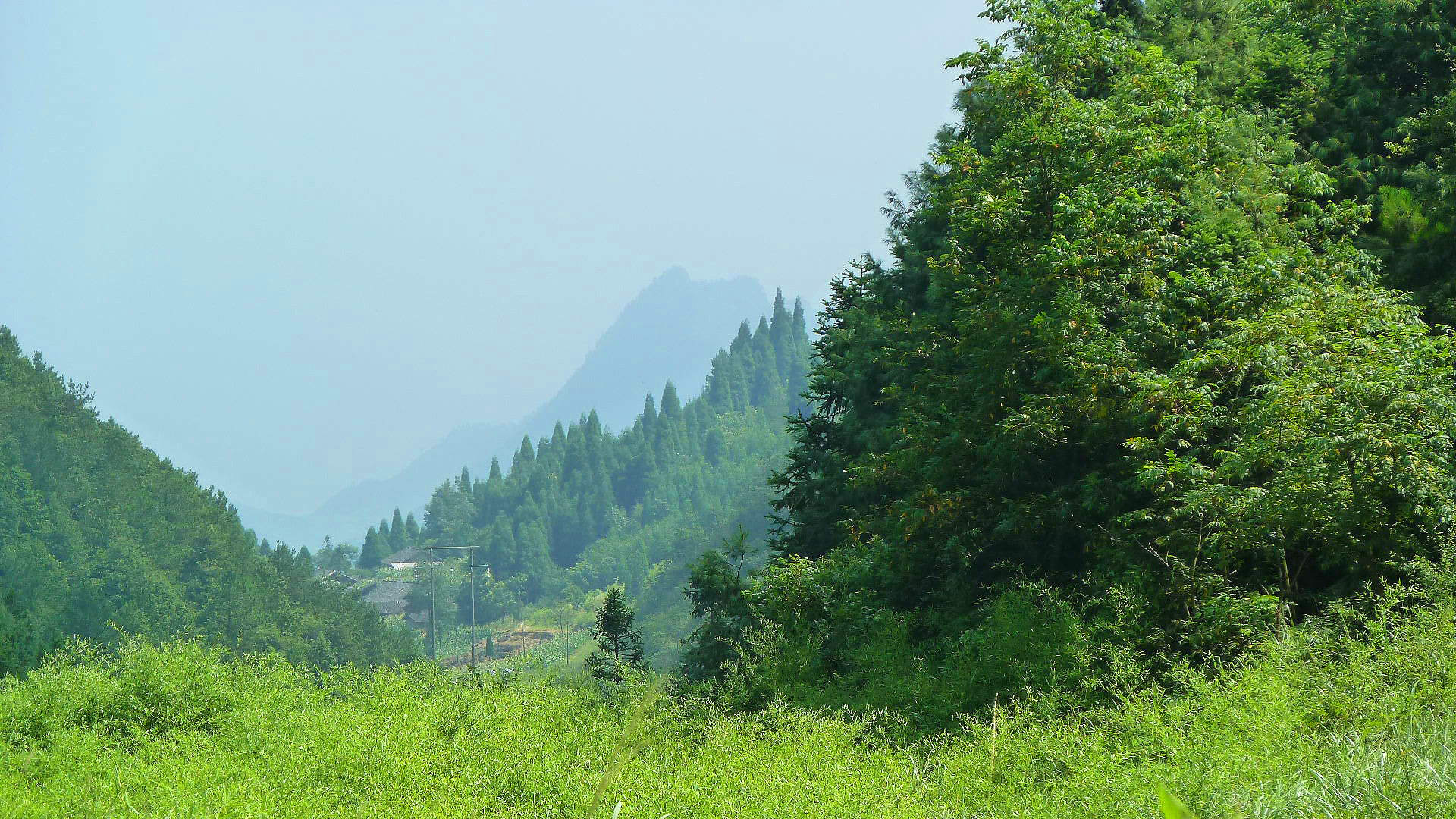 涼風埡森林公園