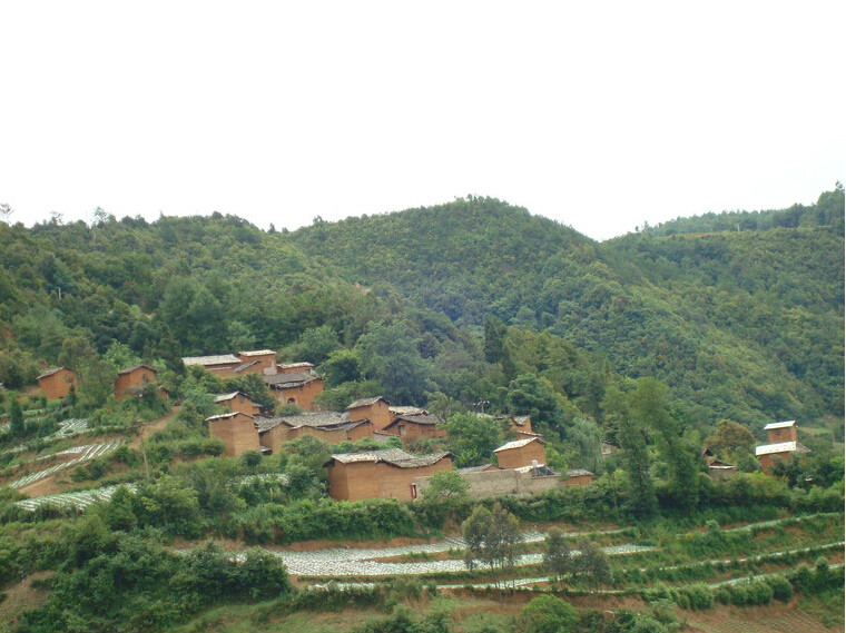 石頭地村(華寧縣青龍鎮落梅村民委員會下轄村)