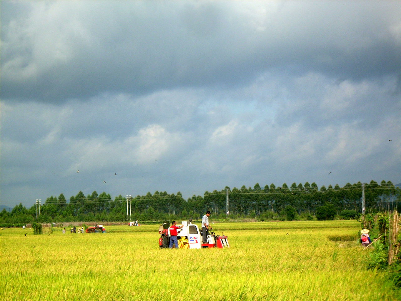 黃絲鋪村