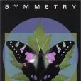 Symmetry(2001年The Mathematical Association of America出版的圖書)