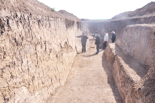 淅川龍山崗新石器時代遺址(黃楝樹遺址)