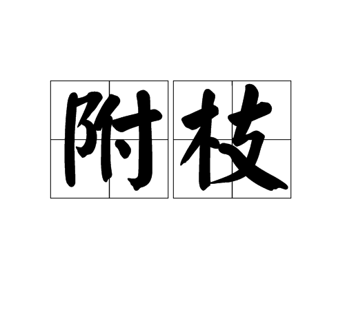 附枝