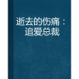 逝去的傷痛：追愛總裁