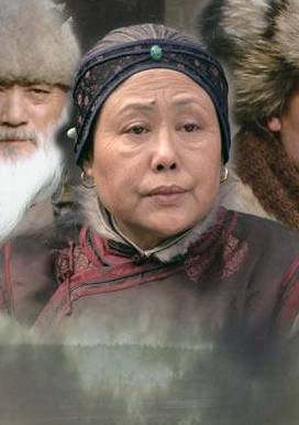 虎踞龍盤(2006年楊凡主演電視劇)