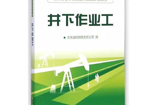 井下作業工(2014年石油工業出版社出版的圖書)