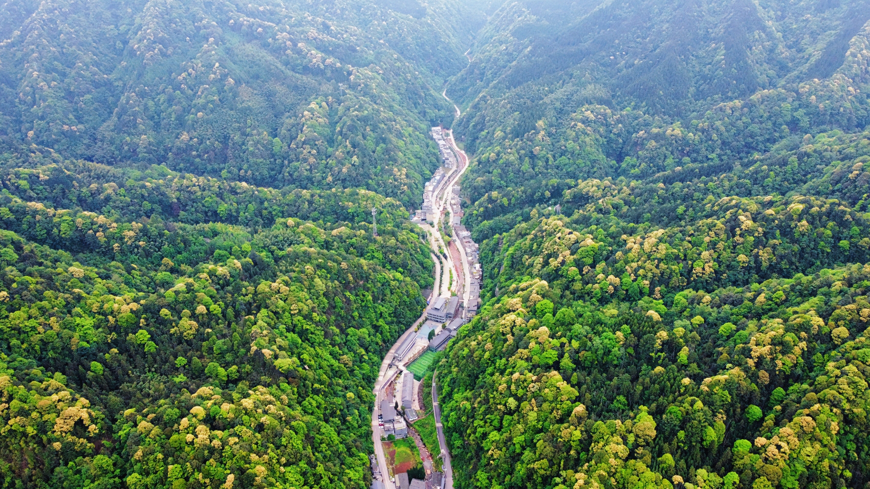 黃荊老林旅遊景區