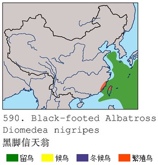 黑腳信天翁中國分布圖