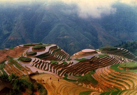 山東丘陵