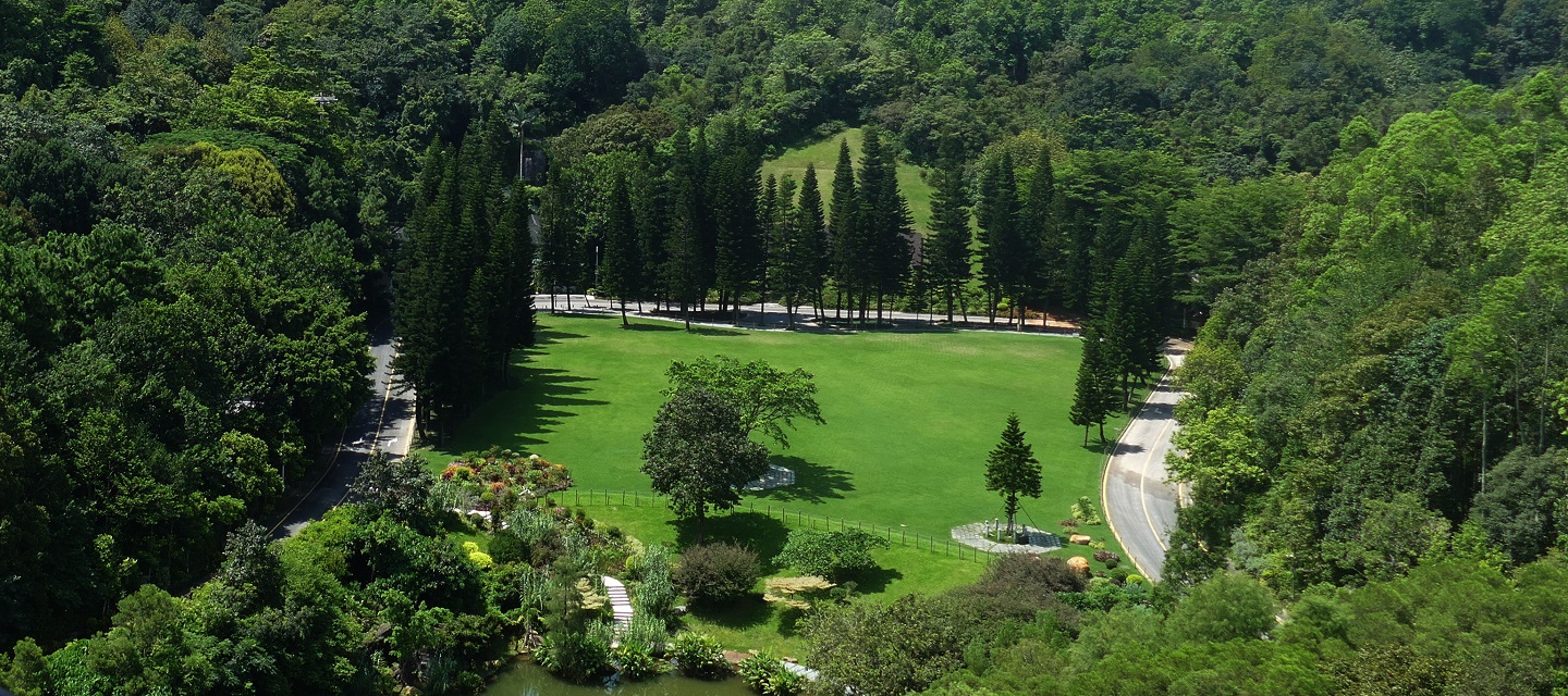 深圳市中國科學院仙湖植物園