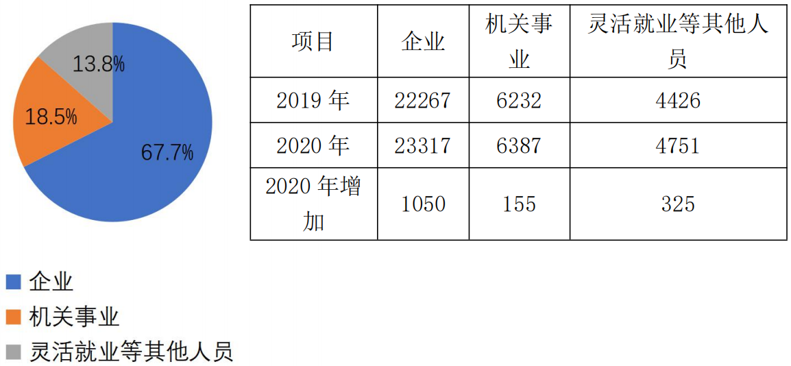 2020年全國醫療保障事業發展統計公報