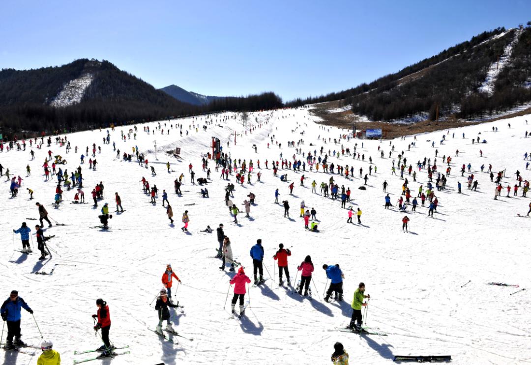 第八屆全國大眾冰雪季