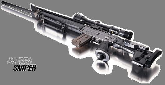 SIG SG550 Sniper