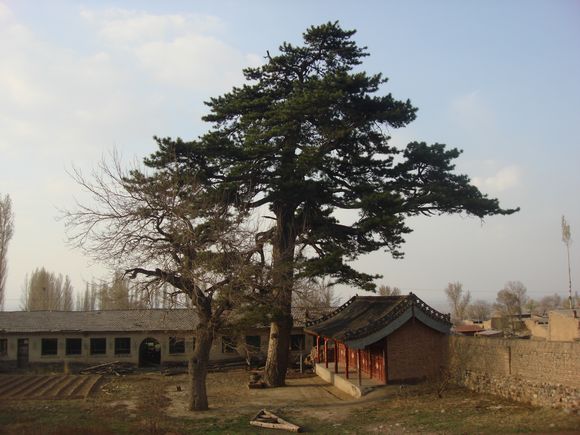 瑞雲寺