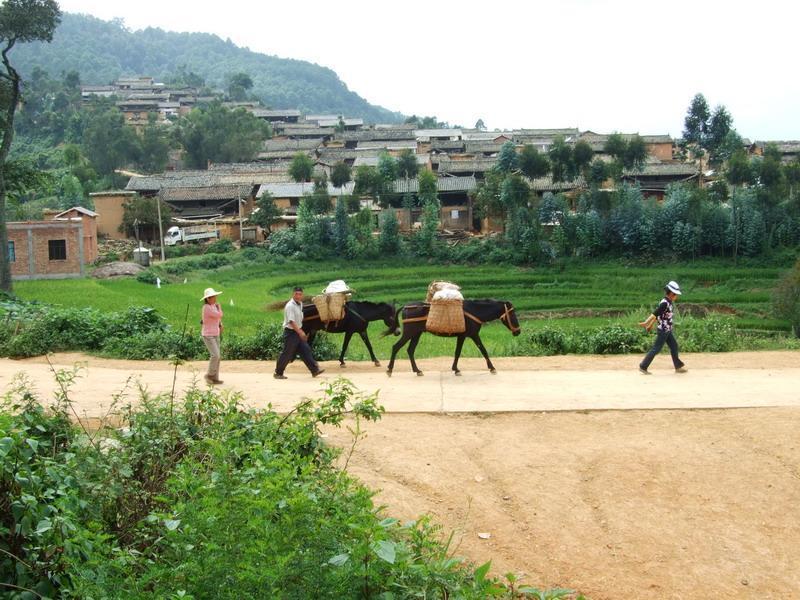 阿魯自然村