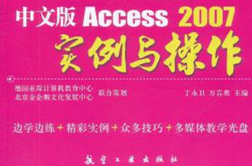 中文版Access2007實例與操作