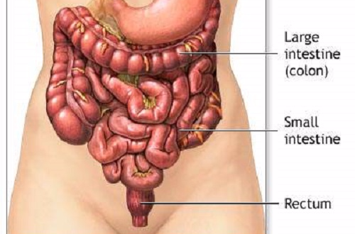 炎性腸病