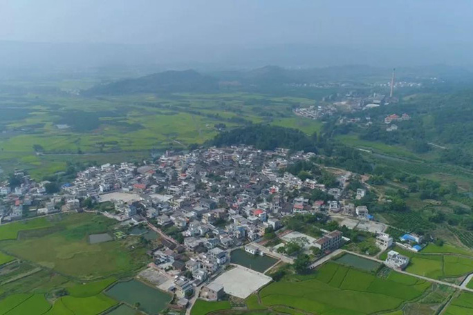 安崗村(廣東省韶關市仁化縣董塘鎮下轄村)