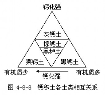 鈣積土各土類之間的相互關係圖