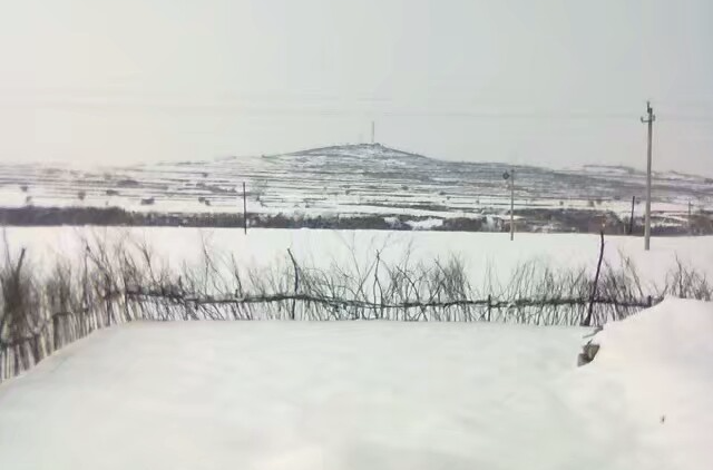 魯村村(山西省晉城市澤州縣北義城鎮下轄村)