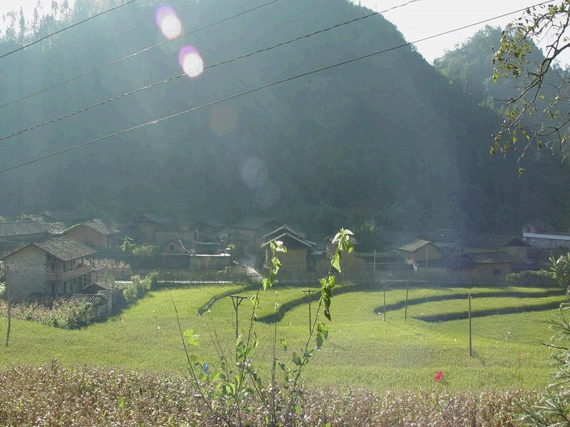 白泥村(湖南省懷化市漵浦縣譚家灣鎮下轄村)