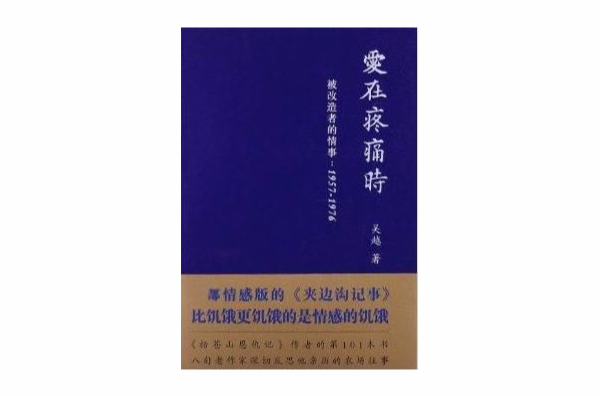 愛在疼痛時：被改造者的事情