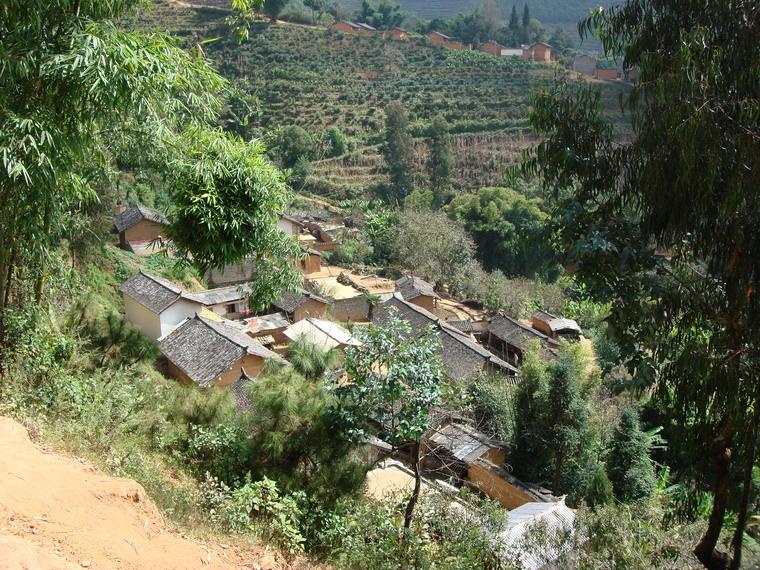 棠梨村(雲南陸良縣三岔河鎮下轄村)