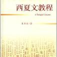 西夏文獻文物研究叢書：西夏文教程