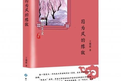 因為風的緣故(2019年西苑出版社出版的圖書)