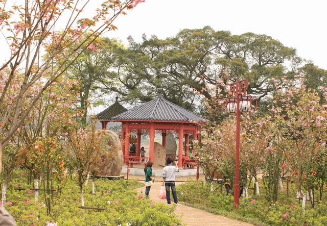 贛縣櫻花公園(贛南客家名人公園)