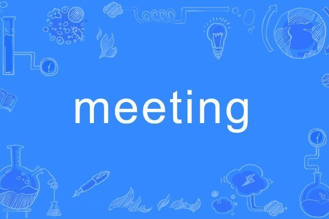 Meeting