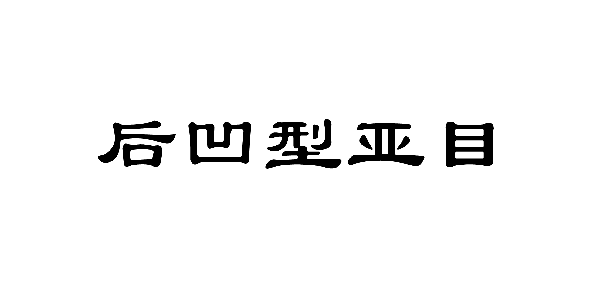 後凹型亞目