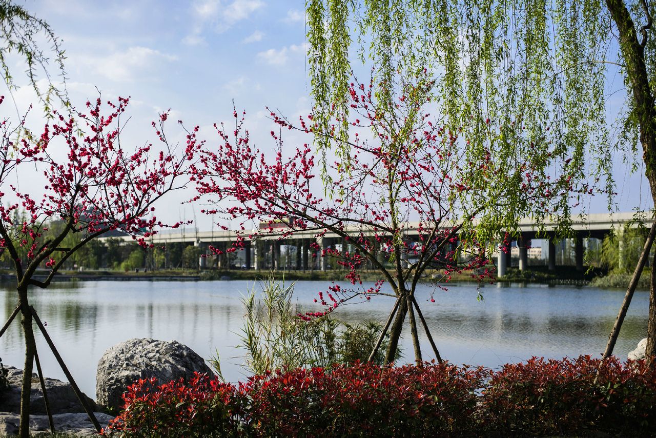 成都錦城公園