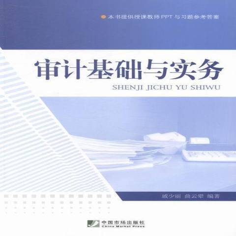 審計基礎與實務(2014年中國市場出版社出版的圖書)