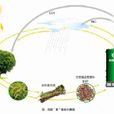 生物質燃料廚灶