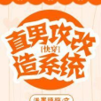 直男攻改造系統[快穿]