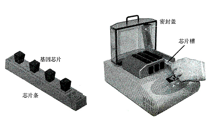 生物晶片檢測系統