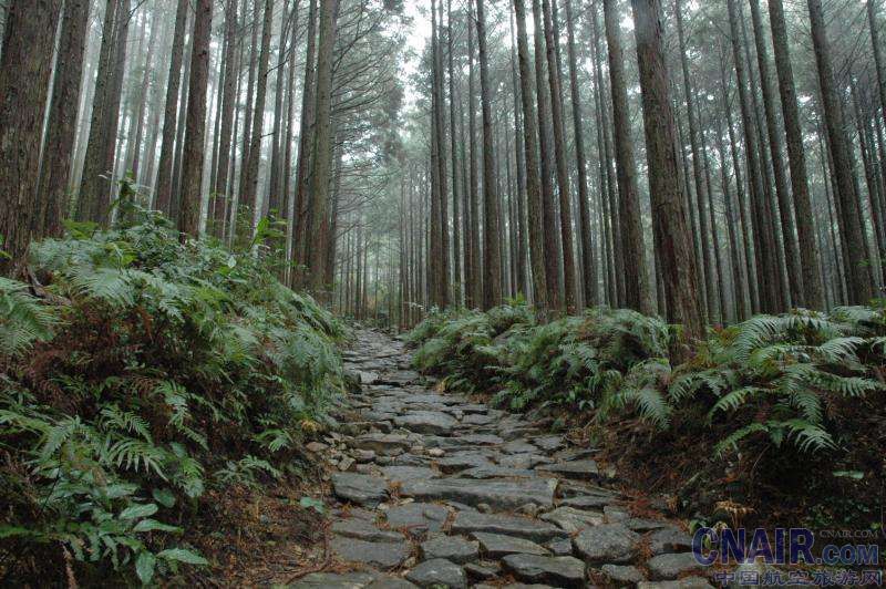 紀伊山脈勝地和朝聖路線以及周圍的文化景觀